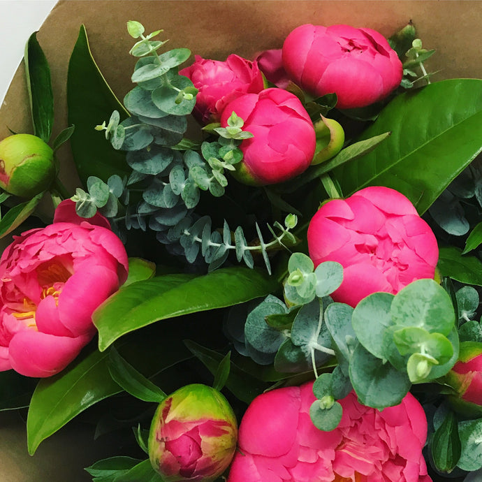 Peonies with a purpose