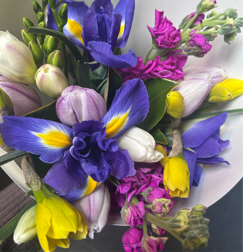 Spring Florist Choice Posy