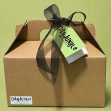 Plant Care Package