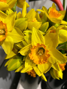 Spring Market Trio