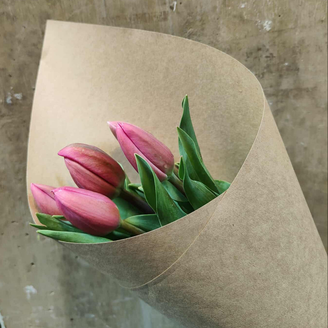 Tulip Market Special