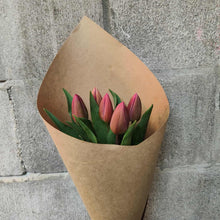 Tulip Market Special
