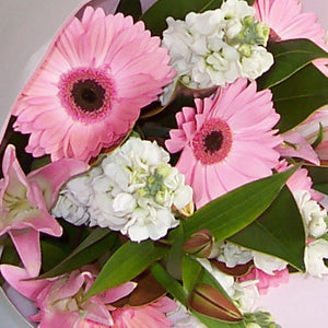 Pink & White Posy