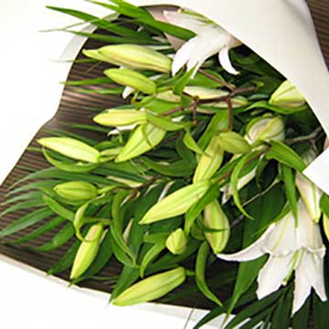 Oriental Lily Bouquet