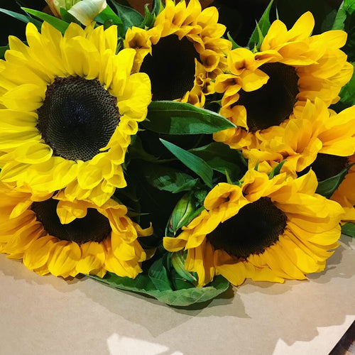 Sunflowers